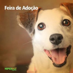 Hiperpet20180604Feiras