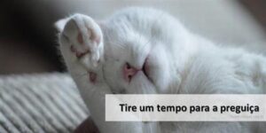 TudoPorEmail20210624Tire