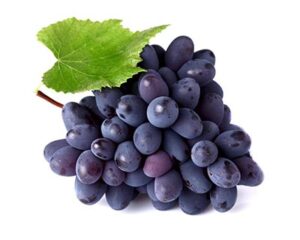 TudoPorEmail20250902Uvas