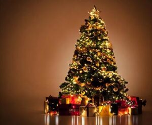 JJStore20251101Arvores