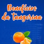 HortiFrutiDoBosque20260614BlogSS