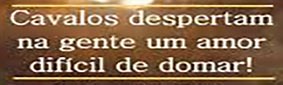 GiseleLemos20251020ImagemD